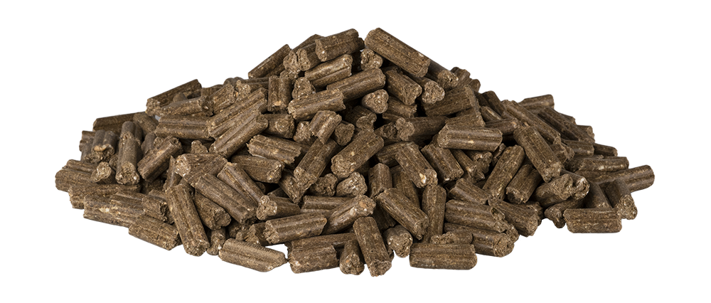 Fytolin Fibre Force